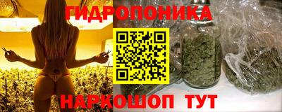 кокс Кингисепп